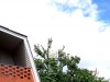 SIA_CityRealEstate_001.jpg