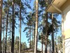 SIA_CityRealEstate_015.jpg