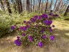 SIA_CityRealEstate_018.jpg