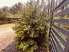 SIA_CityRealEstate_026.jpg