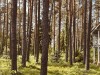 SIA_CityRealEstate_027.jpg