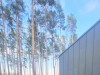 SIA_CityRealEstate_035.jpg