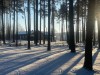 SIA_CityRealEstate_063.jpg