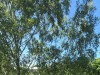 SIA_CityRealEstate_003.jpg