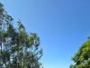 SIA_CityRealEstate_018.jpg