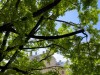 SIA_CityRealEstate_005.jpg