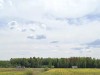 SIA_CityRealEstate_002.jpg