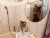 SIA_CityRealEstate_010.jpg