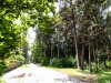 SIA_CityRealEstate_055.jpg