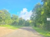 SIA_CityRealEstate_079.jpg
