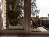 SIA_CityRealEstate_008.jpg