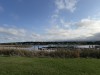 SIA_CityRealEstate_008.jpg