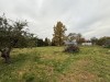 SIA_CityRealEstate_000.jpg