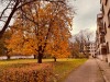 SIA_CityRealEstate_000.jpg