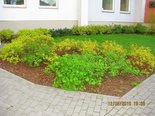 Torņakalna pakavs 21