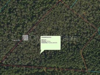 Forest for sale in Ogres district, Birzgale 425183