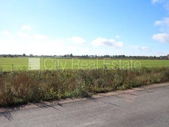 Продают землю в Рижском районе, Олайне 426506