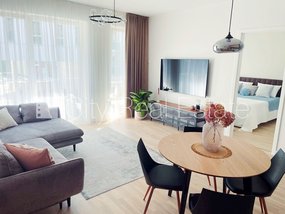 Apartment for rent in Riga, Riga center 515318