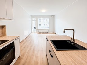 Izīrē dzīvokli Rīgā, Centrā 517468