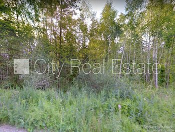 Продают землю в Тукумском районе, Лапмежциемская волость 425256