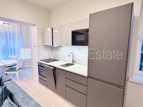 Apartment for rent in Riga, Mezaparks 517889