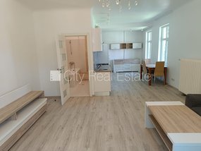 Apartment for rent in Riga, Mezaparks 433843