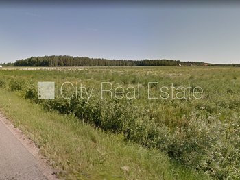 Продают землю в Рижском районе, Олайне 508304