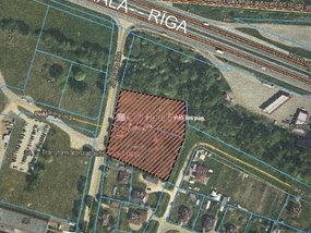 Land for sale in Riga district, Pinki 516172