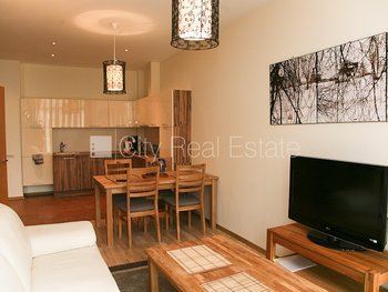 Apartment for rent in Riga, Riga center 428973